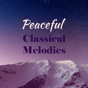 Flute Sonata in B Minor, BWV 1030: IV. Allegro