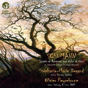 Violin Sonata No. 2 in D Minor, Op. 121: III. Leise, einfach