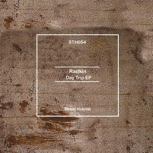 Vibe Tribe (Original Mix)