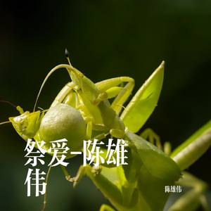 祭爱