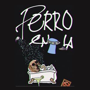 Perro en la Bańera