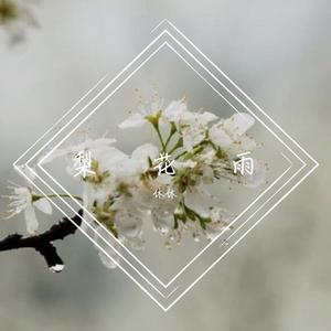 梨花雨 B调（翻自 李春华）