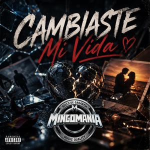 Cambiaste mi vida