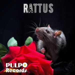 Rattus