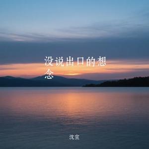 没说出口的想念