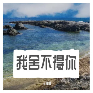 我舍不得你（音乐抢先听）预告段落