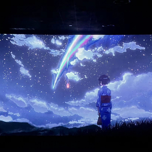 赛博狂欢：脉冲之舞