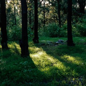 WAV文件_行囊里的光_81400101401472517_1766020140525.wav