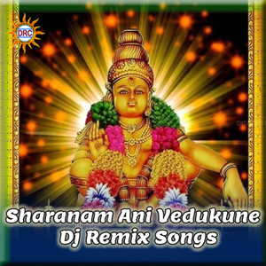 Sharanam Ani Vedukune (Dj Remix)