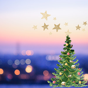 大切なクリスマス