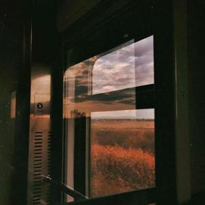 代替你陪着我的是年轮