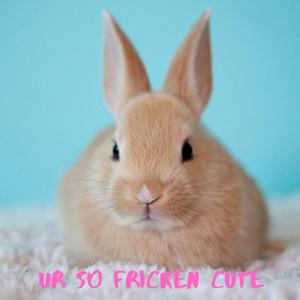 Ur So Fricken Cute