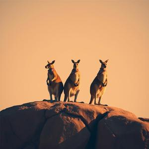 Together by @complexexpressiveness1253