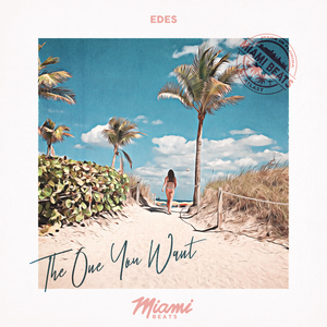 The One You Want (Original Mix)