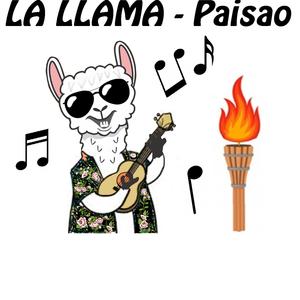 La llama Paisao