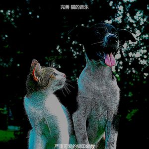 精彩压力大的猫环境