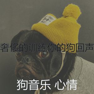 有趣狗情怀