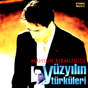 Uzun İnce Bir Yoldayım