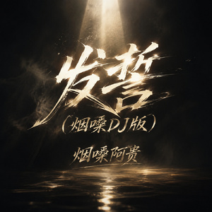 发誓(烟嗓DJ版)