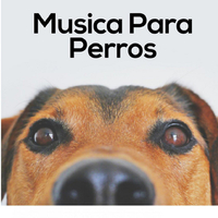 Biblioteca de Música Para Mascotas资料,Biblioteca de Música Para Mascotas最新歌曲,Biblioteca de Música Para MascotasMV视频,Biblioteca de Música Para Mascotas音乐专辑,Biblioteca de Música Para Mascotas好听的歌
