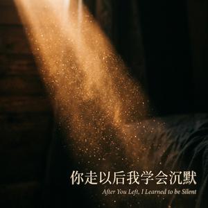 你走以后我学会沉默