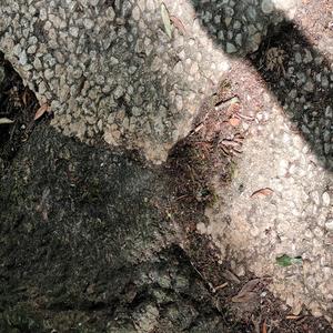 90 Hz Rife Frequency - Targeted Myofascial Release and Microcirculatory Activation