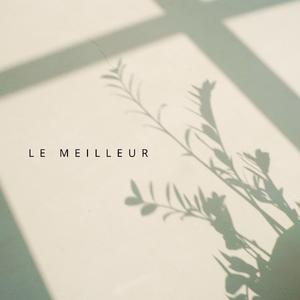 le meilleur