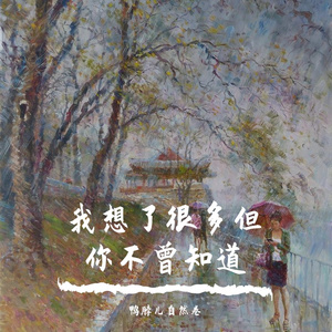 我想了很多但你不曾知道