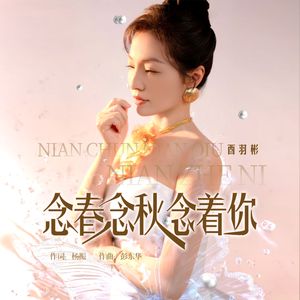 念春念秋念着你 （DJ豪大大版）