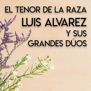 Las Bellas Noches de Maiquetía