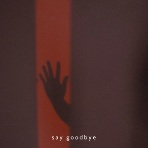 Say Goodbye