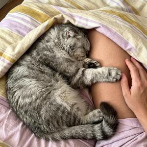 好好睡吧 我的宝贝