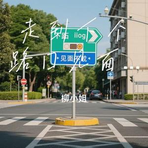 走到下个路口见面为止 (Cover 林子祺Liam7 & 凌奈)