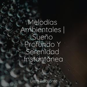 Anochecer En La Distancia