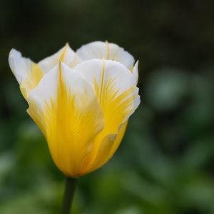 我的祖国（二胡版）