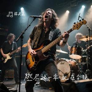 燃尽这一年 就在今晚