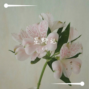 星野记