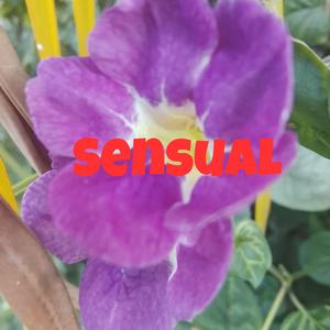 Sensual