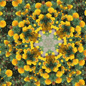 Samhlaíocht thógáil-chrua agus áilleacht i bpeann