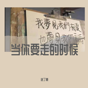 当你要走的时候