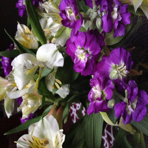 Fodder-Wing from the Yearling