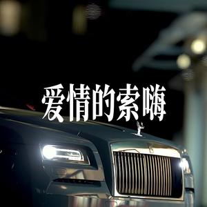 爱情的索嗨 - 男声R&B氛围