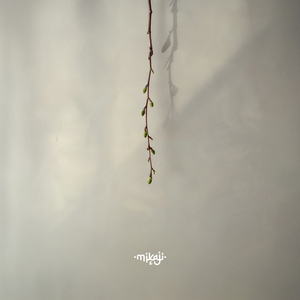 Vrbice (Mikaji Remix)