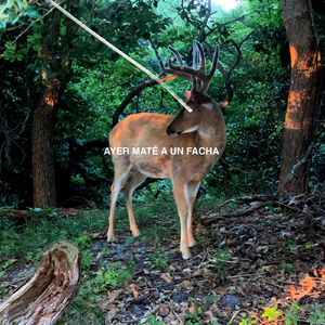 Ayer Maté a un Facha