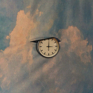 Waves in the Frozen Echo