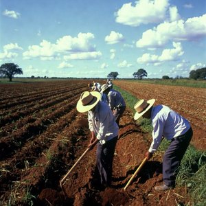 Las Botas Del Campesino