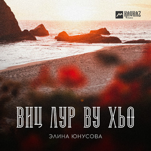 Виц лур ву хьо