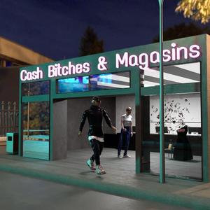 Cash *****es & Magasins (feat. Veezir)