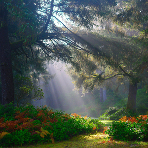雨苏万物，春回大地