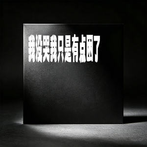 我没哭我只是有点困了